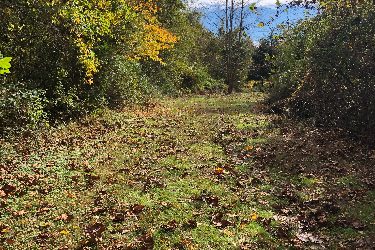 Spring WILL Come!  What do you REALLY REALLY WANT when it does?